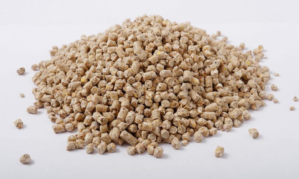 Sodium Saccharin 5-8 Mesh Sodium Saccharin 5-8 Mesh